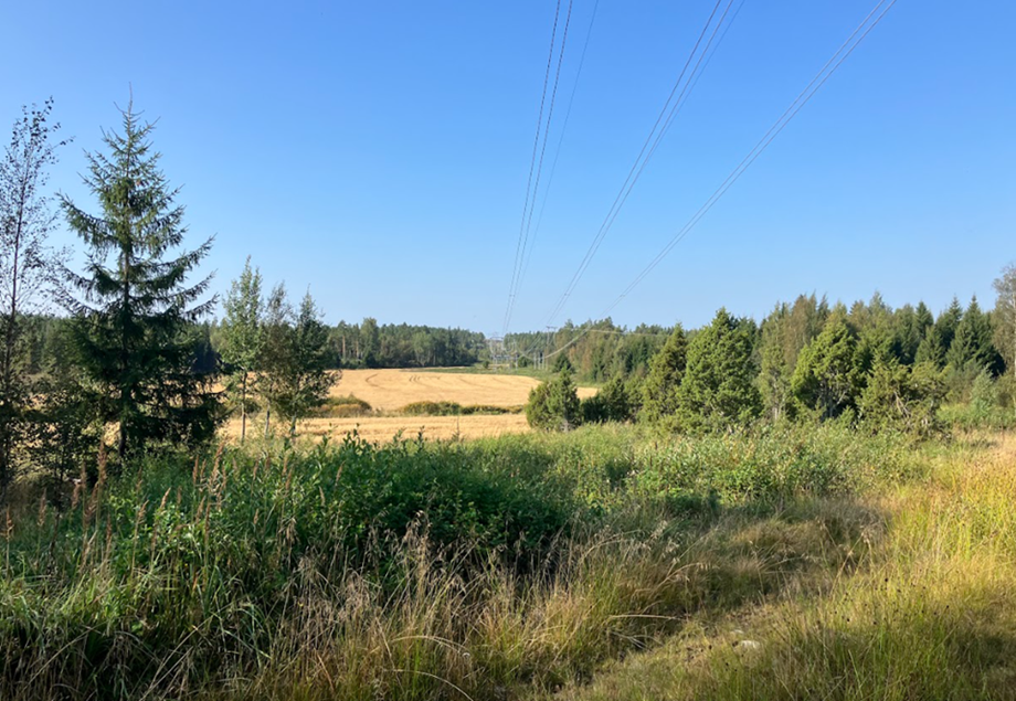Luittilanjärvi